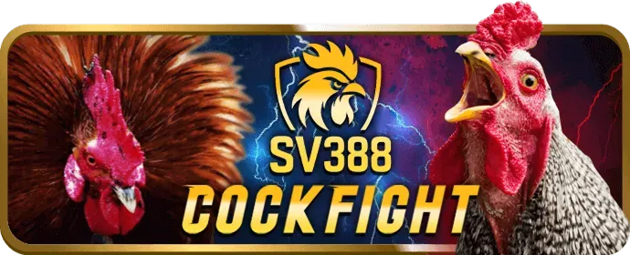 Cá cược bóng rổ tại 66club casino