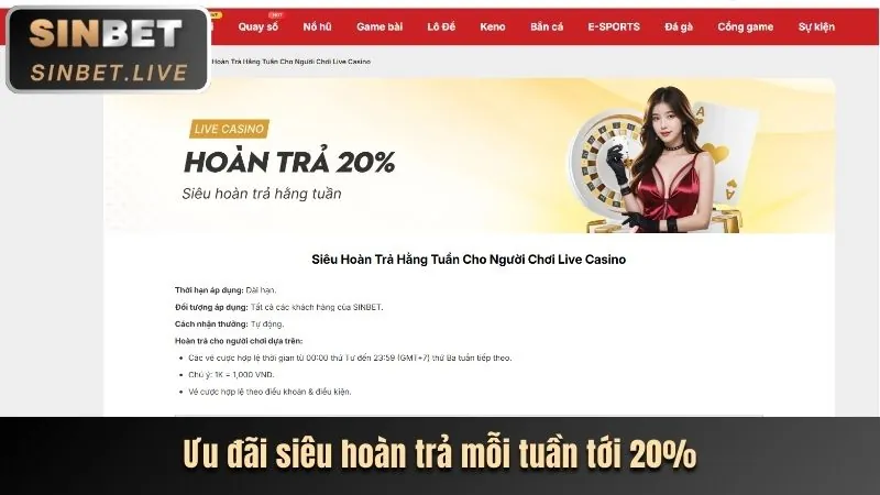 Hình ảnh chính sách và điều khoản